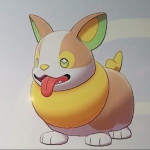 Meet your Posher, Austin